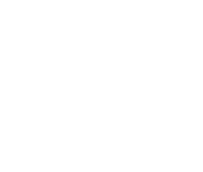 I Bleed Diesel